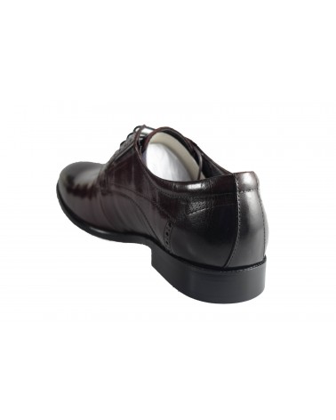 Półbuty JOHN DOUBARE - D788-159-4 brązowy